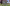 Minecraft Java Edition 26.1.1 Update
