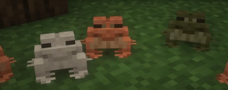 Minecraft Frogs
